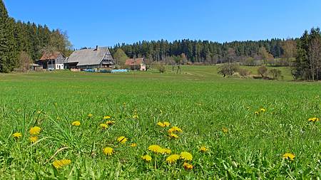 Schnapsbrennerhof