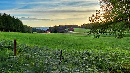 Afterwork-Wanderungen